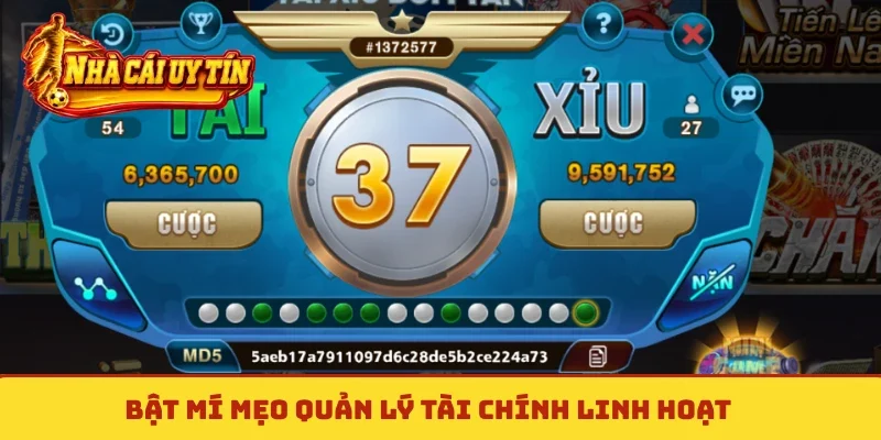 Bật mí mẹo quản lý tài chính linh hoạt