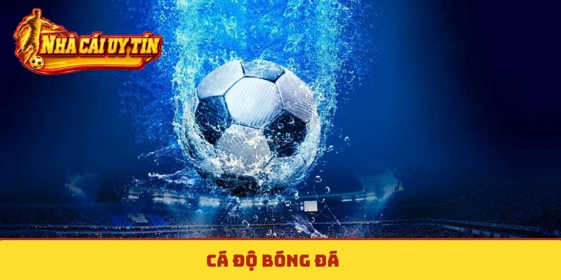 Cá độ bóng đá
