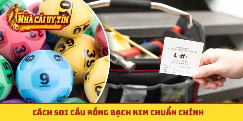 Cách soi cầu Rồng Bạch Kim chuẩn chỉnh
