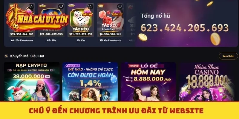 Chú ý đến chương trình ưu đãi từ website