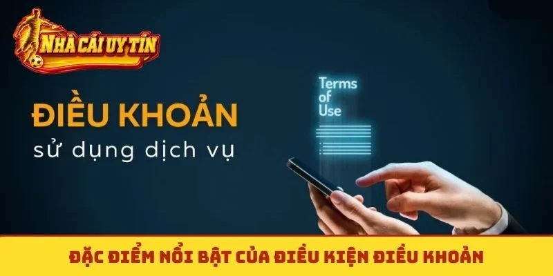 Đặc điểm nổi bật của điều kiện điều khoản