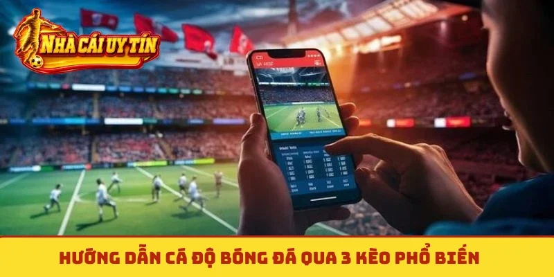 Hướng dẫn cá độ bóng đá qua 3 kèo phổ biến