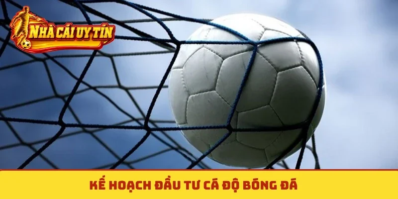 Kế hoạch đầu tư cá độ bóng đá
