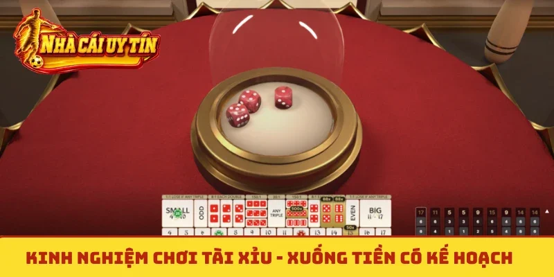 Kinh nghiệm chơi tài xỉu online - Xuống tiền có kế hoạch