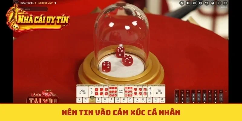 Nên tin vào cảm xúc cá nhân