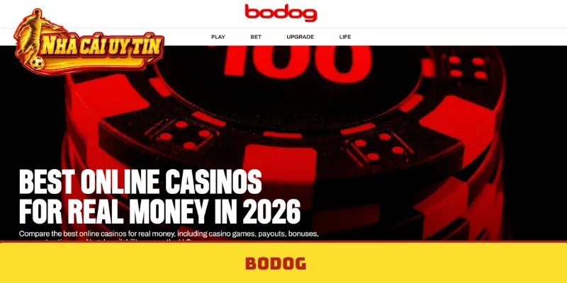 Bodog