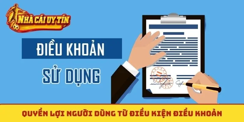 Quyền lợi người dùng từ điều kiện điều khoản