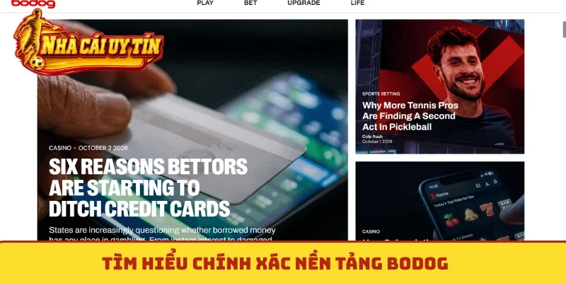 Tìm hiểu chính xác nền tảng Bodog