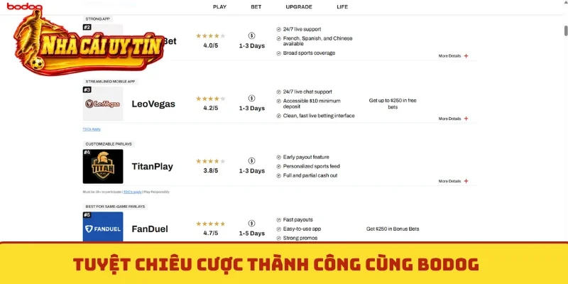 Tuyệt chiêu cược thành công cùng Bodog