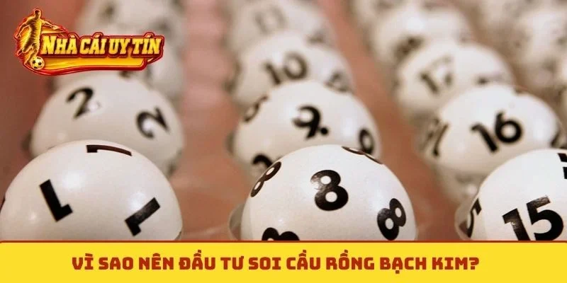 Vì sao nên đầu tư soi cầu Rồng Bạch Kim?